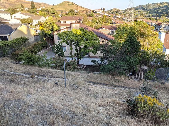 Backyard view