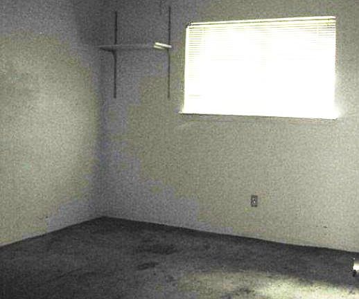 5th image of 438 Oriole Cir