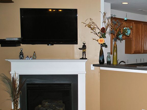 Living Room Fireplace