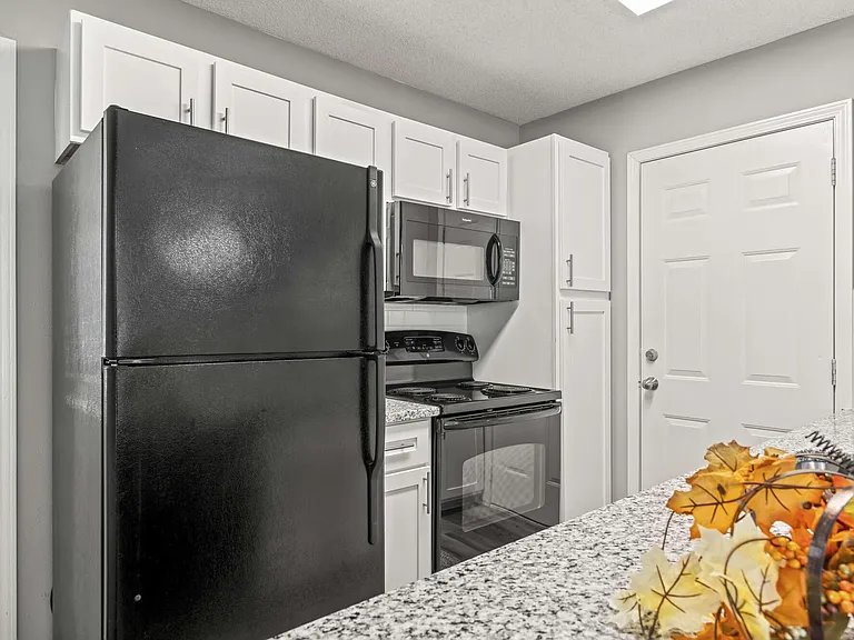 The Louis Townhomes — Photo 30