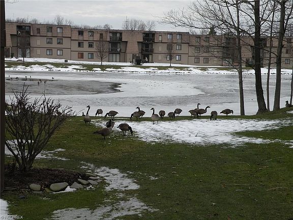 3rd image of 9660 Cove Dr Unit F21