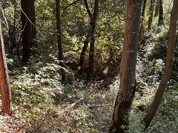 2nd image of 16492 Indiana Ranch Rd