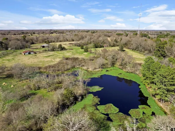 Forbes Thos C Abs 209 Trl #1000, Mount Pleasant, TX 75455