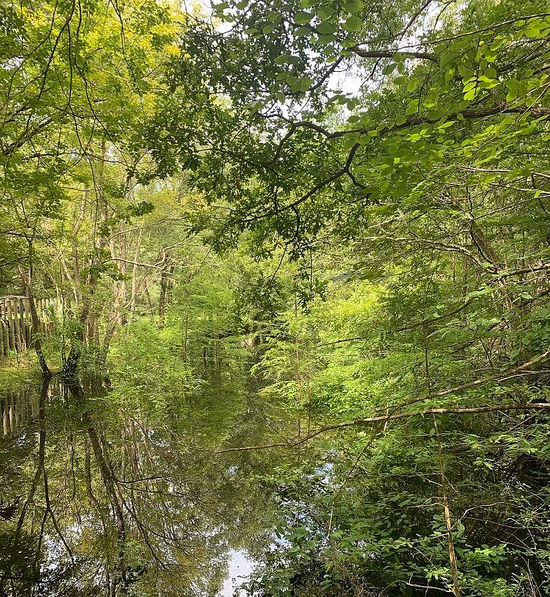 7619 Canal Ave, Fanning Springs, FL 32693 Zillow