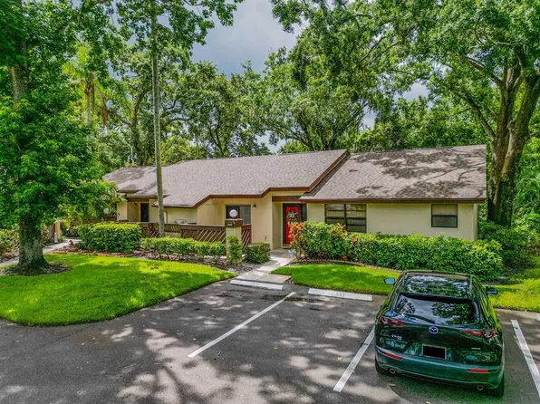 2910 Star Apple Ct, Palm Harbor, FL 34684