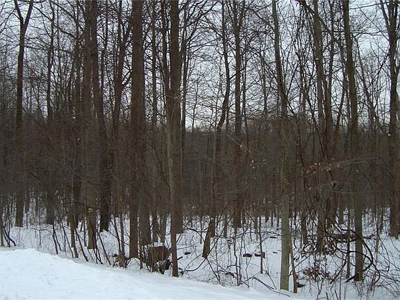 5th image of 13875 Montclair Dr