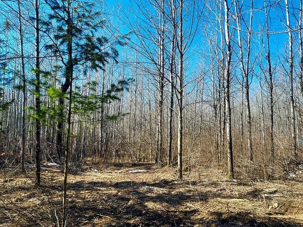 1010 Burrows Lake Rd, Tomahawk, WI 54487