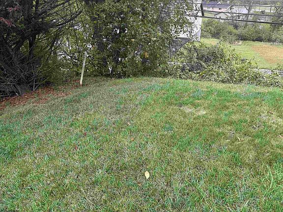 4th image of 101 High Point Dr