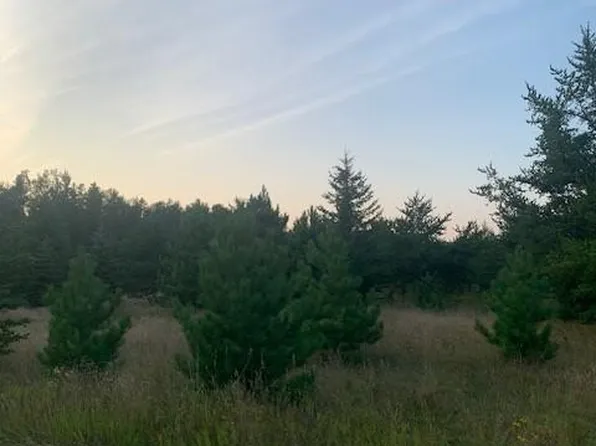 Tbd Pine Cir, Pequot Lakes, MN 56472