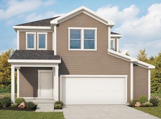 Sunflower Plan, Bloom, Fort Collins, CO 80524