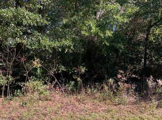 157 SW Guinevere Way, Lake City, FL 32024