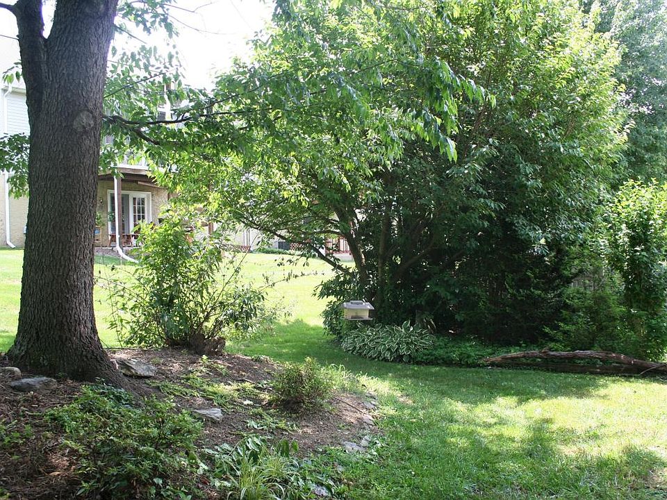 View from patio