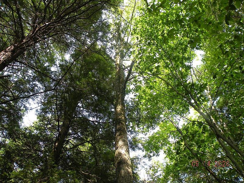4th image of WILDERNESS Way