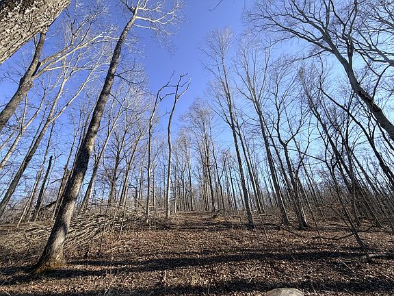 3rd image of 1 Deep Cut Rd Lot 1