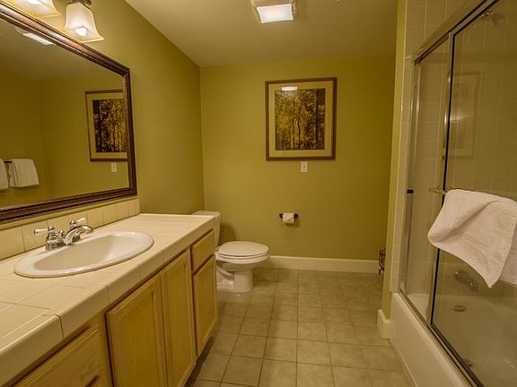 5th image of 1399 Kirkwood Meadows Dr. #312
