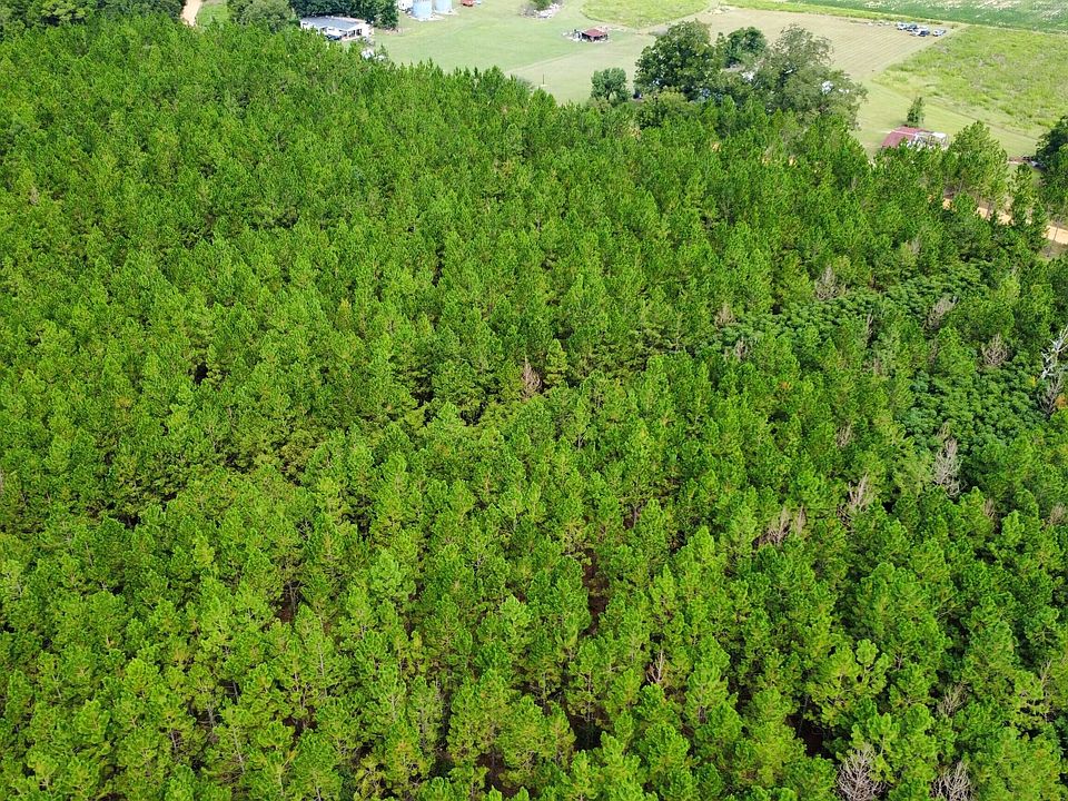 2nd image of TRACT 2 A L Reeves Rd