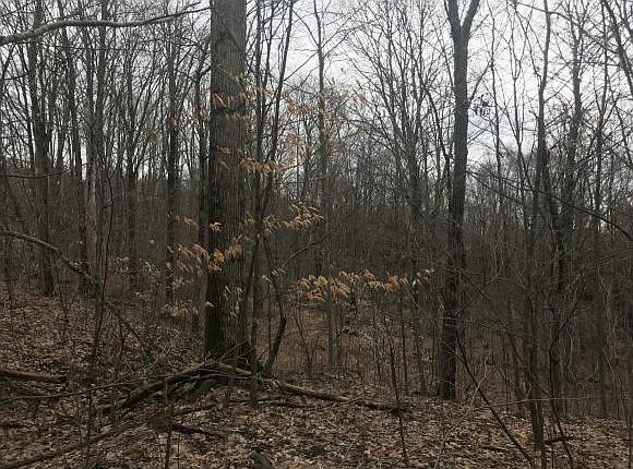 2nd image of 521 Beaver Lake Rd