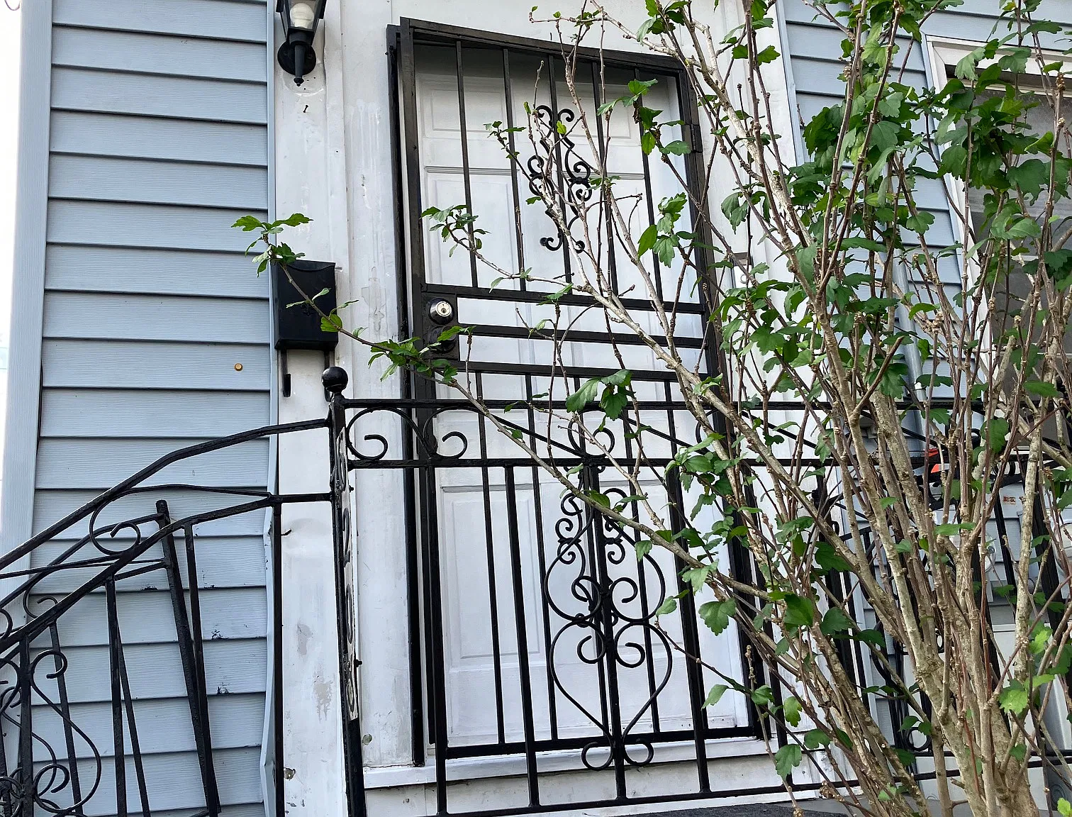 2 bed, 800 sqft, $1,100 — Photo 2