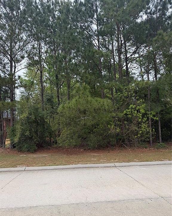 1st image of Spartan Loop