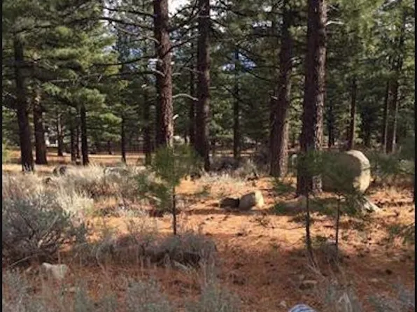 16740 Maggie Cir, Reno, NV 89511