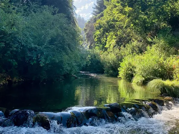 250 Brackney Rd, Ben Lomond, CA 95005