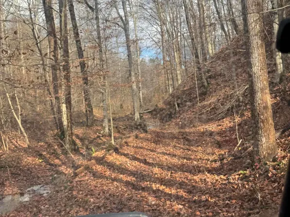 Mount Olive Rd, Andersonville, TN 37705