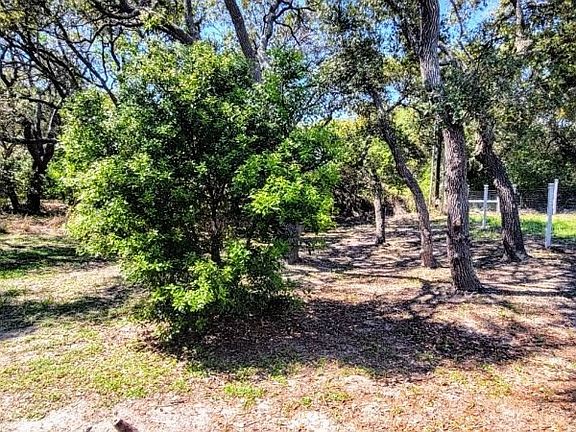 3rd image of 609 Huisache