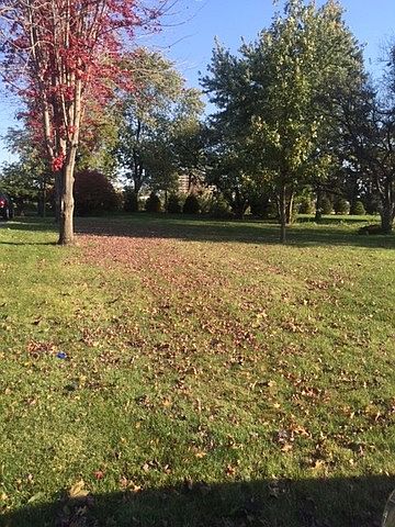 1st image of 1524 Columbine Dr