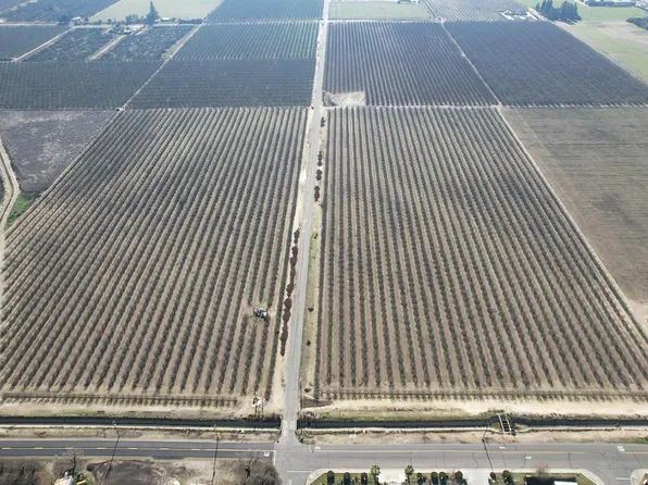Peach, Livingston, CA 95334