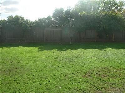 Generous Backyard