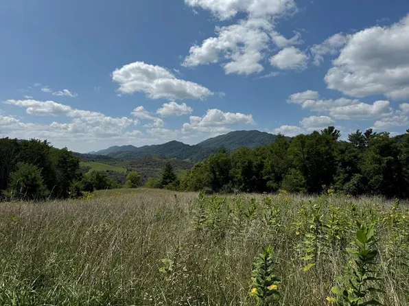 1667 Bandy Rd, Cedar Bluff, VA 24609
