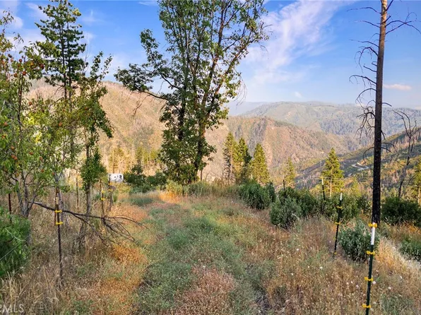 12239 Andy Mountain Road, Oroville, CA 95965