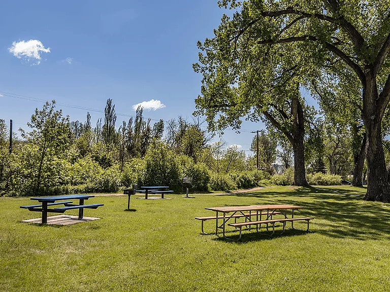 Shaded Picnic Area