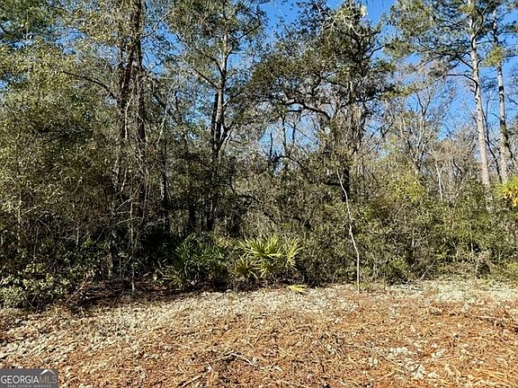 2nd image of 0 Live Oak Lane Rd