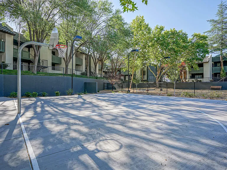 New Sports Court
