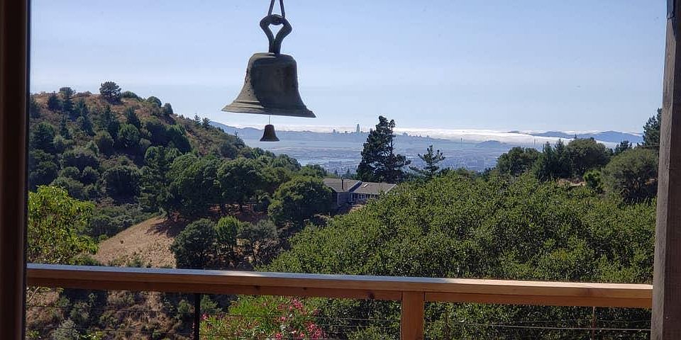 View From Livingroom