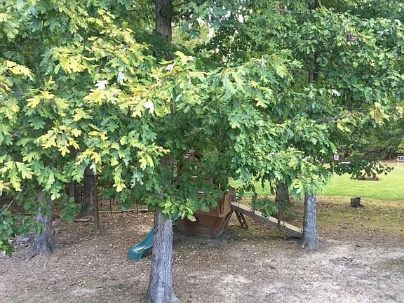 2nd image of 1015 Mimosa Ln