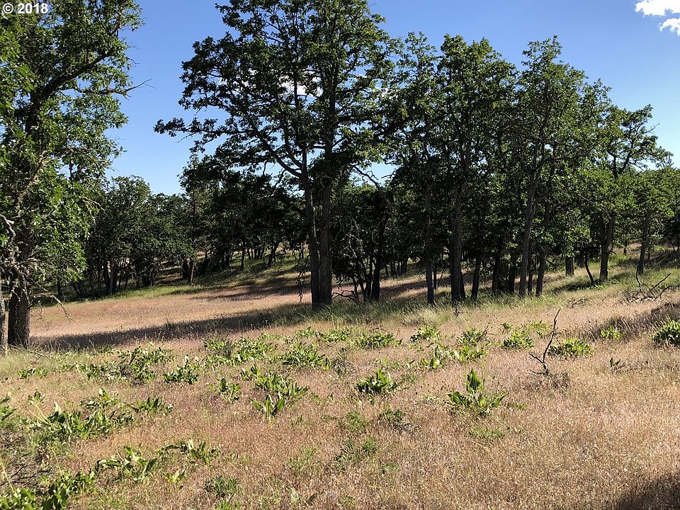 1st image of Piney Woods #2
