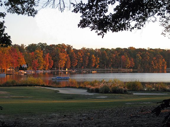 view from kitchen and family room
