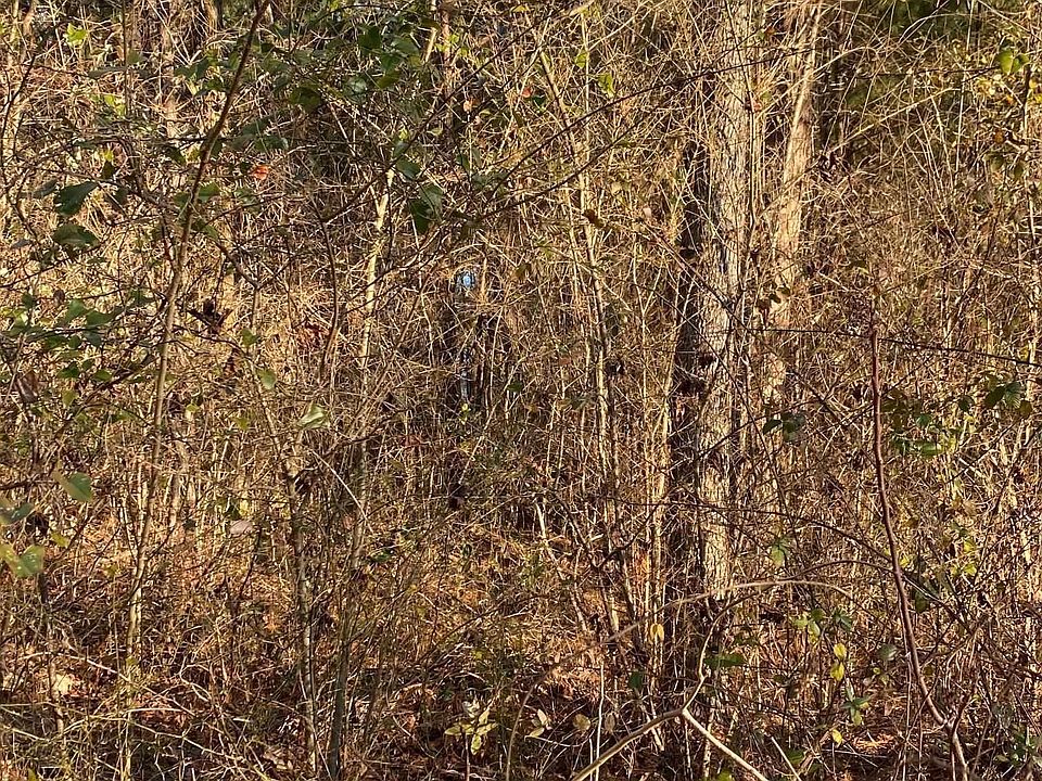 2nd image of 0 Woodland Hills Dr Lot 2