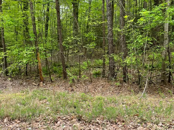77 Puddle Stone Ln Lot 77, Henderson, NC 27537