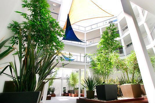 Courtyard