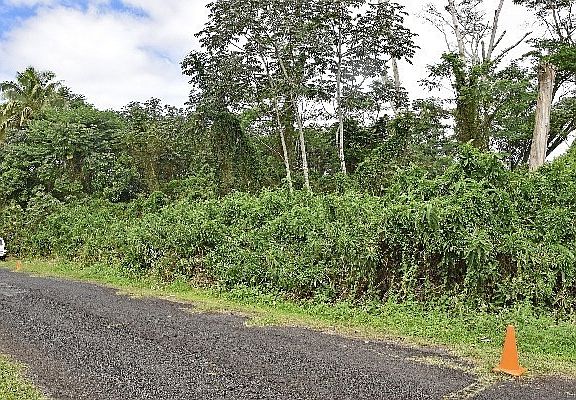 2nd image of Hou St Lot 11