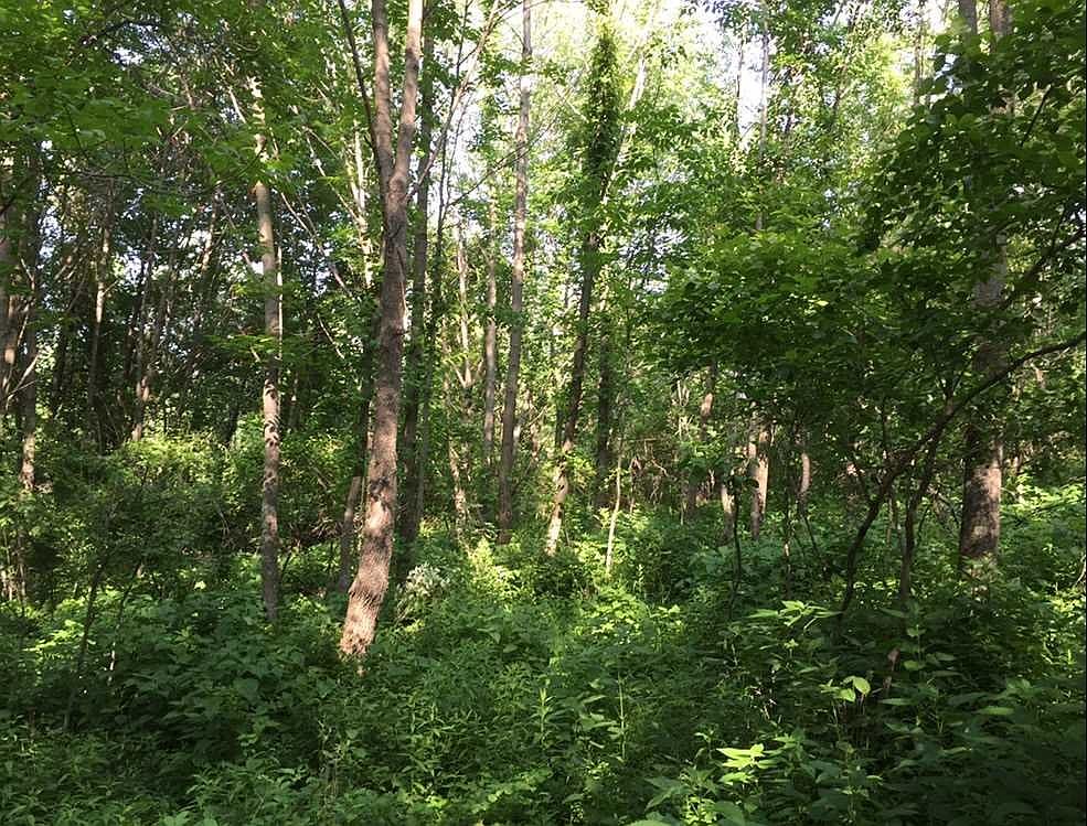 Camby Rd, Verbank, NY 12585 Zillow