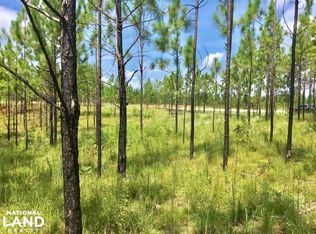 538 Luther Lee Rd, Purvis, MS 39475