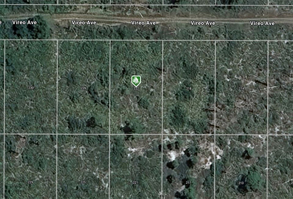 1st image of 222 Vireo Ave
