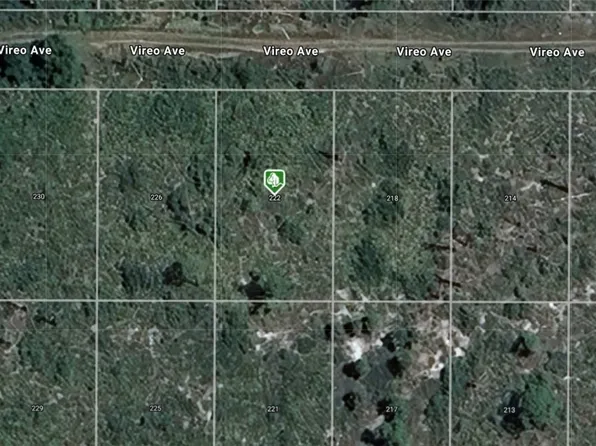 222 Vireo Ave, Sebring, FL 33870