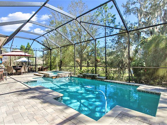 Tropical Oasis