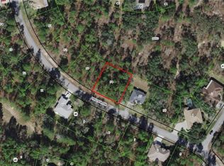 21 Pagoda Dr, Homosassa, FL 34446