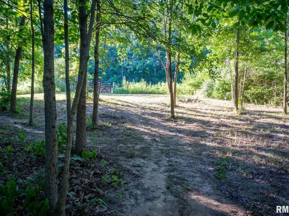 1545 Sullivan Rd, Goreville, IL 62939